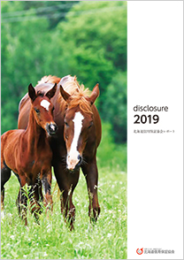 ディスクロージャー誌2019