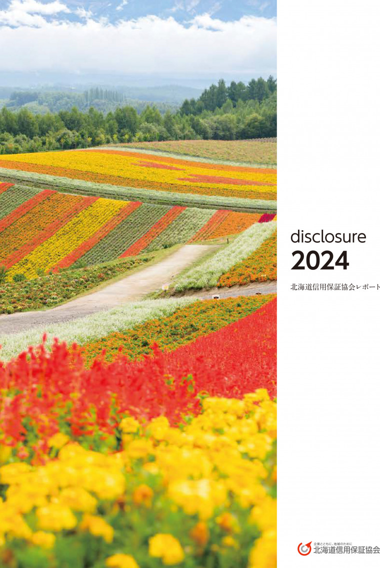 ディスクロージャー誌2024